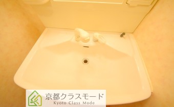シャンプードレッサー