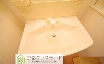 シャンプードレッサー