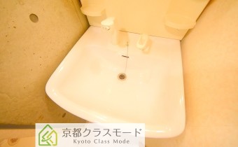シャンプードレッサー
