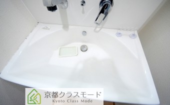 シャンプードレッサー