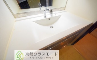 シャンプードレッサー