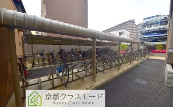 駐輪スペース