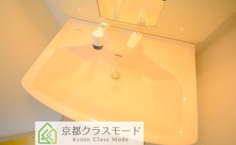 シャンプードレッサー