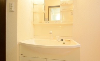 シャンプードレッサー