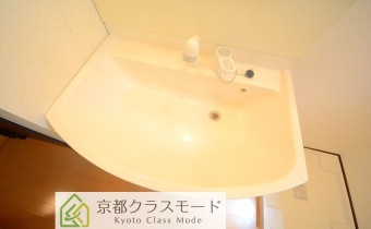 シャンプードレッサー