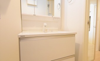 シャンプードレッサー