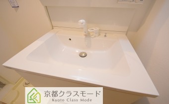 シャンプードレッサー