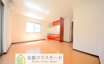 LDK10.5