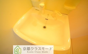 シャンプードレッサー
