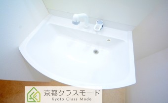 シャンプードレッサー
