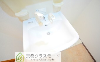 シャンプードレッサー
