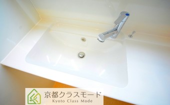 シャンプードレッサー