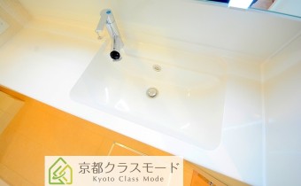 シャンプードレッサー