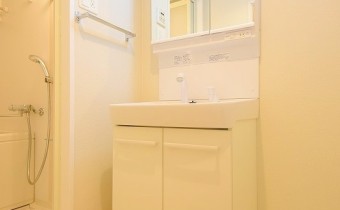 シャンプードレッサー