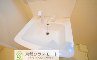シャンプードレッサー