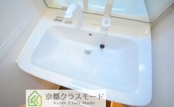 シャンプードレッサー