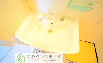 シャンプードレッサー