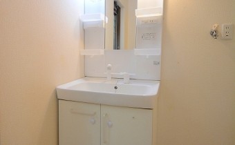 シャンプードレッサー