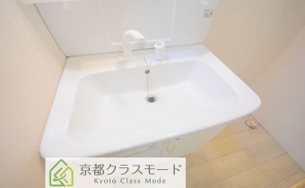 シャンプードレッサー