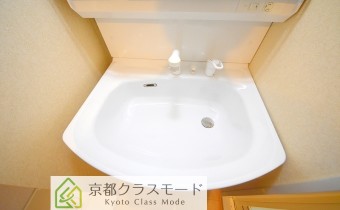 シャンプードレッサー