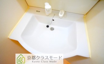シャンプードレッサー