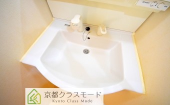 シャンプードレッサー