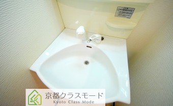 シャンプードレッサー