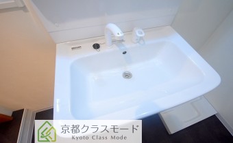 シャンプードレッサー
