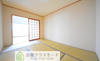和6
