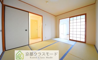 和6