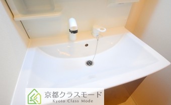 シャンプードレッサー