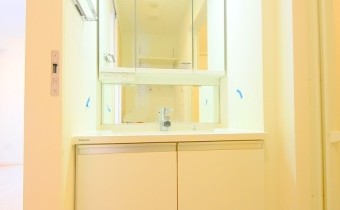 シャンプードレッサー