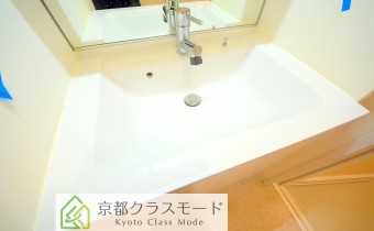 シャンプードレッサー