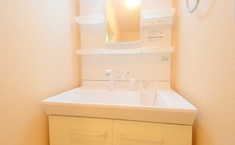 シャンプードレッサー