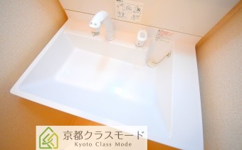 シャンプードレッサー