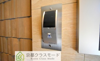 血流認証システム