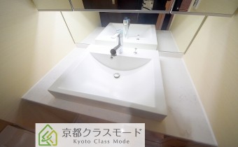 シャンプードレッサー