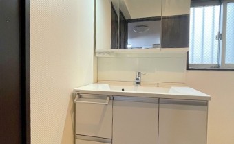 シャンプードレッサー