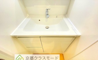 シャンプードレッサー