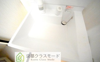 シャンプードレッサー