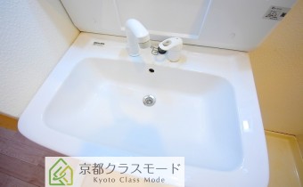 シャンプードレッサー