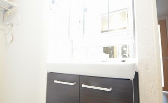 シャンプードレッサー