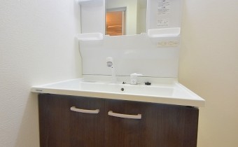 シャンプードレッサー