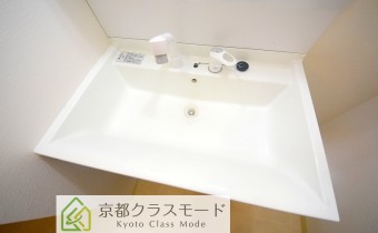 シャンプードレッサー