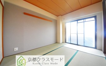 和6