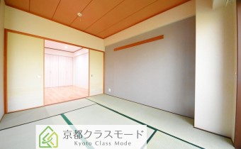 和6