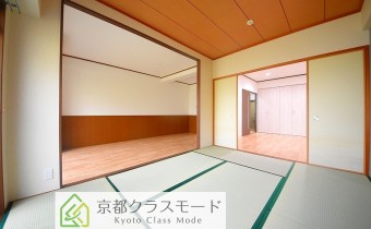 和6
