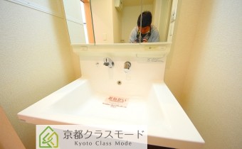 シャンプードレッサー