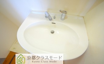 シャンプードレッサー