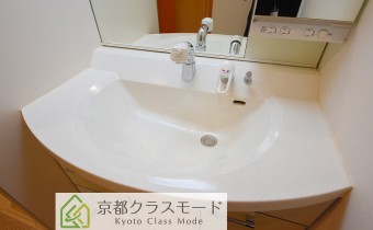 シャンプードレッサー